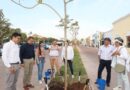 Yucatán llega al millón de árboles plantados: MVD